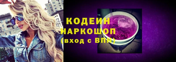 СК Новозыбков