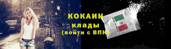 СК Новозыбков