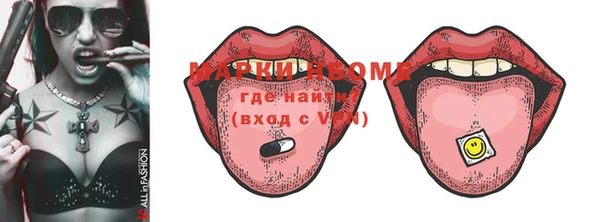 СК Новозыбков