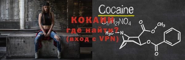 СК Новозыбков