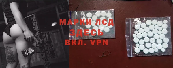 СК Новозыбков