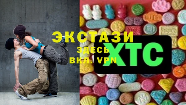 СК Новозыбков
