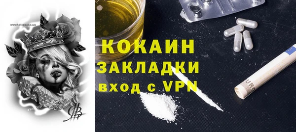 СК Новозыбков