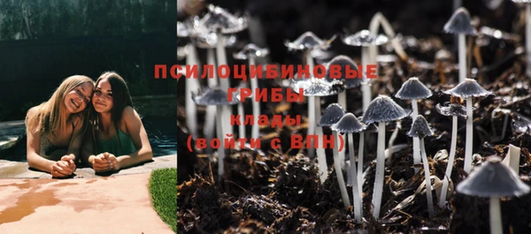 дживик Новокубанск