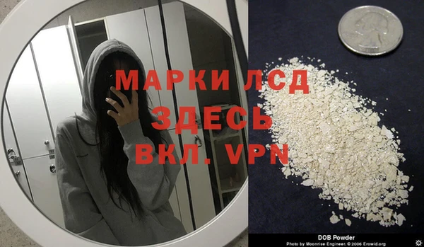 СК Новозыбков