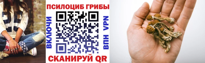 Галлюциногенные грибы мухоморы  где купить наркоту  Кушва 