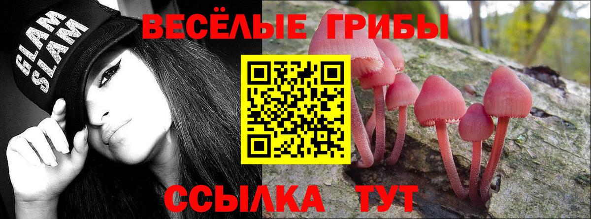 Псилоцибиновые грибы ЛСД  где купить   Галлюциногенные грибы мицелий  Кушва  Вход с VPN 